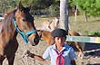 La mar a caballo