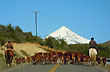 On the Way to Chile Through Mamuil Malal