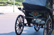 Nothing Like a Horse-Drawn Carriage