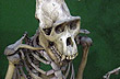 Museo Argentino de Ciencias Naturales