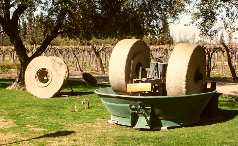 Mendoza: Museo del Vino en Bodega la Rural