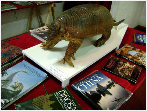 Visit to the Natural Science Museum in Mercedes