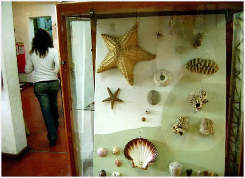 Visit to the Natural Science Museum in Mercedes