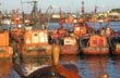 Postcards from the Harbor
