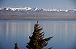 Enigm�tico Nahuelito de Bariloche 