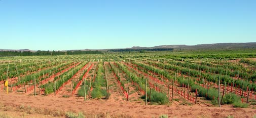 Producci�n en el gran Valle