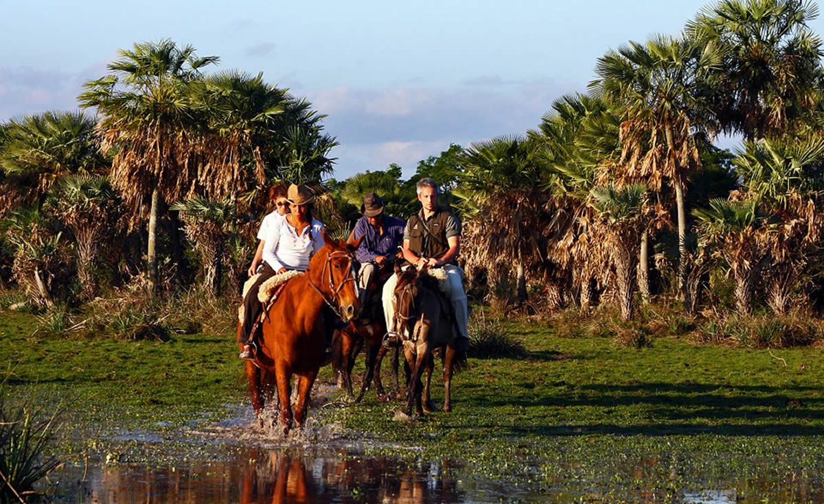 Horseback riding in the Esteros del Iberá