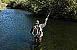The First Trout
