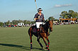 A jugar al polo por un dia