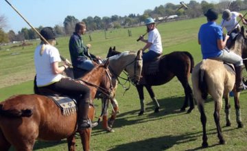 Come and Play Polo for a Day