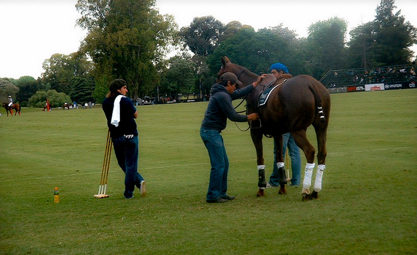 The Best Polo in the World is Argentinian