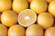Shopping at Tigre`s Fruit Harbour 