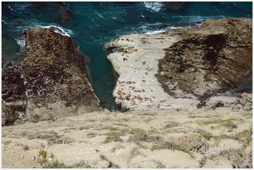 Reserva Natural Punta del Marqués