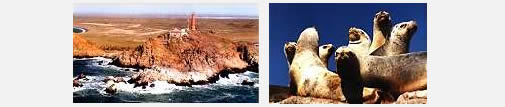 Safari Cabo Blanco