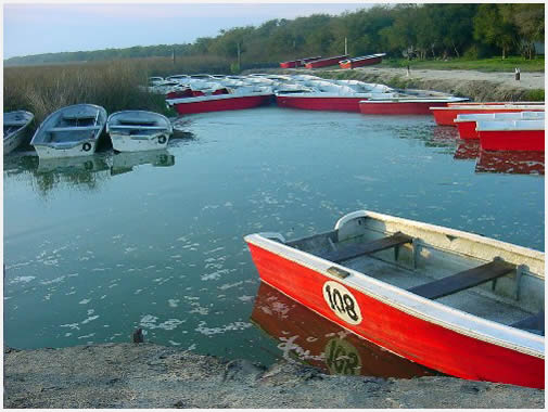 Un d�a de pesca en la Salada Grande de Madariaga
