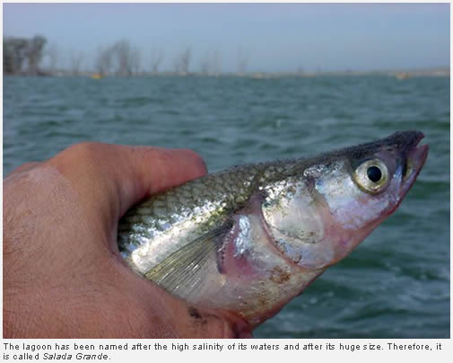 A day out fishing in Salada Grande de Madariaga