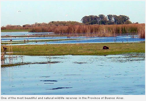 A day out fishing in Salada Grande de Madariaga