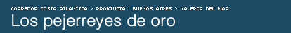Los pejerreyes de oro
