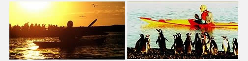 Sea Kayak - Ria Deseado