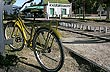 Pedaling Sierra