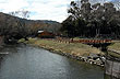 The Fish Trap
