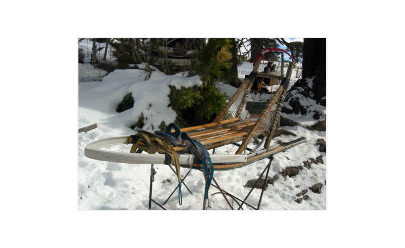 The wooden cart equipped with skis