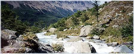 Hiking to Laguna del Desierto