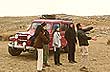 Adventure Travel at Mount �spero