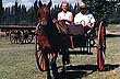 Rural Tours in General Roca