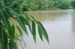 Boat Ride around the Delta