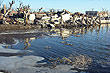 A Village Underwater