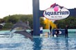 Una visita al Aquarium de Mar del Plata
