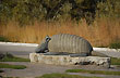 Esculturas de fauna - Foto: Jorge Gonz�lez