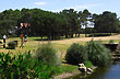 Golf en Pinamar - Foto: Welcomeargentina.com