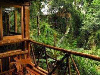 Tacuapí Lodge de Selva
