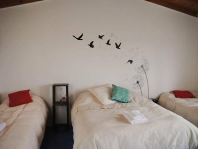 Bungalows/Short Term Apartment Rentals La Casa del Rey de las Ballenas