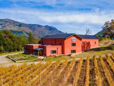 Patagonian Wines