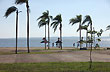 Costanera palmeras - Photo: Jorge Gonz�lez