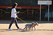 De paseo - Photo: Jorge Gonz�lez
