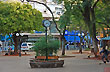 Plaza 9 de Julio - Foto: Jorge Gonz�lez