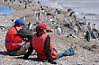 Un día de pingüinos - Foto: Ricardo Pérez Un día de pingüinos - Foto: Ricardo Pérez