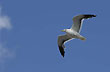 Desde el aire - Foto: Palmiro Bedeschi Desde el aire - Foto: Palmiro Bedeschi