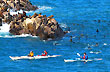 Travesía en el mar - Foto: Ricardo Pérez Travesía en el mar - Foto: Ricardo Pérez