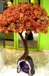 El Arbol de la Vida - Foto: Marcelo Sola
