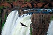 Volando sobre las cataratas - Foto: Marcos Ballarini