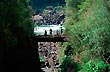 Sobre el puente - Foto: Marcos Ballarini