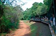Tren Ecol�gico - Foto: Marcos Ballarini