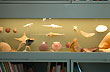 Museo del Hombre y El Mar - Foto: Jorge Gonz�lez
