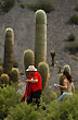 Entre las espinas - Photo: Jorge Gonz�lez