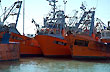 Barcos pescadores - Photo: Jorge Gonz�lez